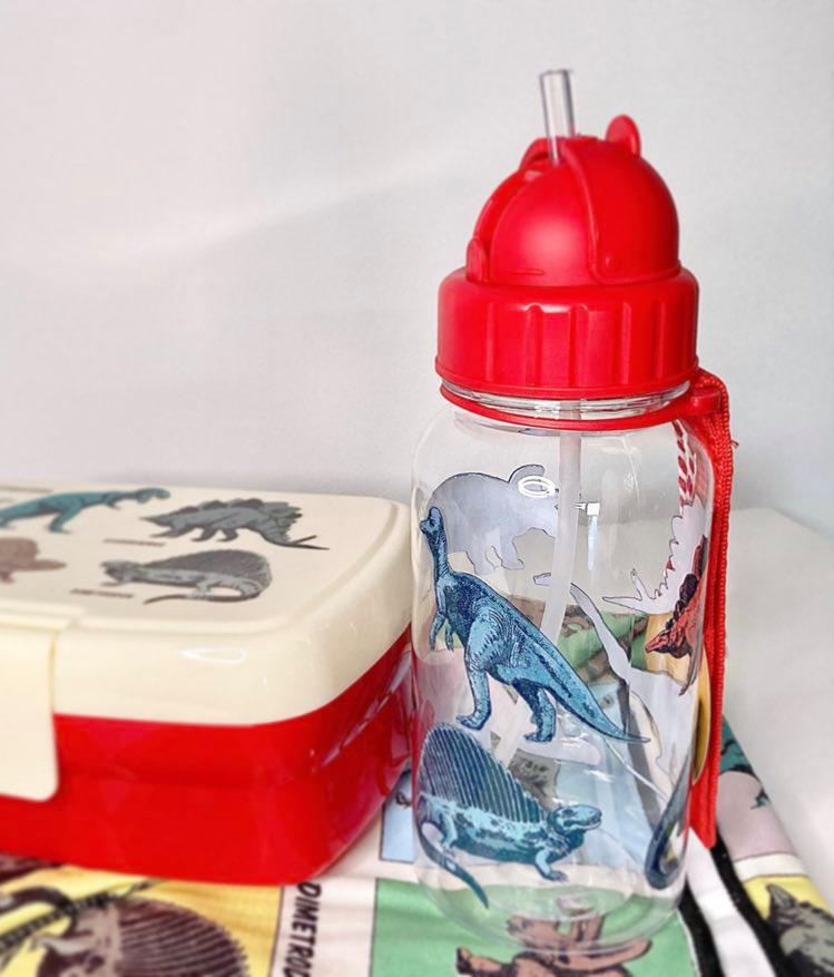 Botella infantil Dinos Rex London - Imagen 5